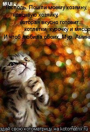 Господь. Пошли моему хозяину, красивую хозяйку, которая вкусно готовит... котлетки, курочку и мясцо ... Котоматрица: Господь. Пошли моему хозяину, красивую хозяйку, которая вкусно готовит... котлетки, курочку и мясцо И чтоб любила обоих. Мур. Аминь