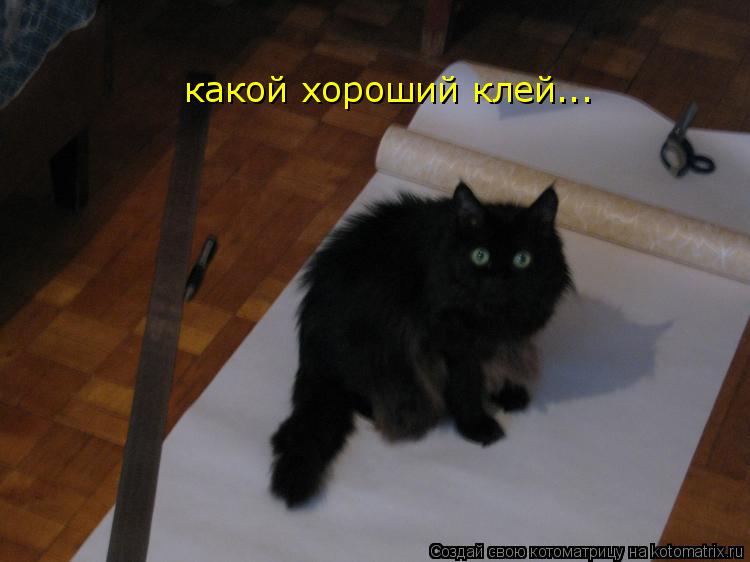 какой хороший клей...... Котоматрица: какой хороший клей...