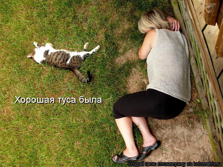 Котоматрица: Хорошая туса была