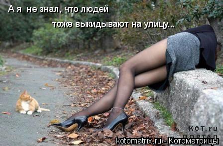 Котоматрица: А я  не знал, что людей  тоже выкидывают на улицу...