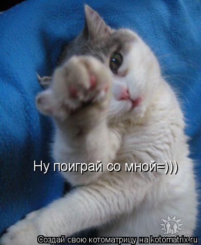 Котоматрица: Ну поиграй со мной=)))