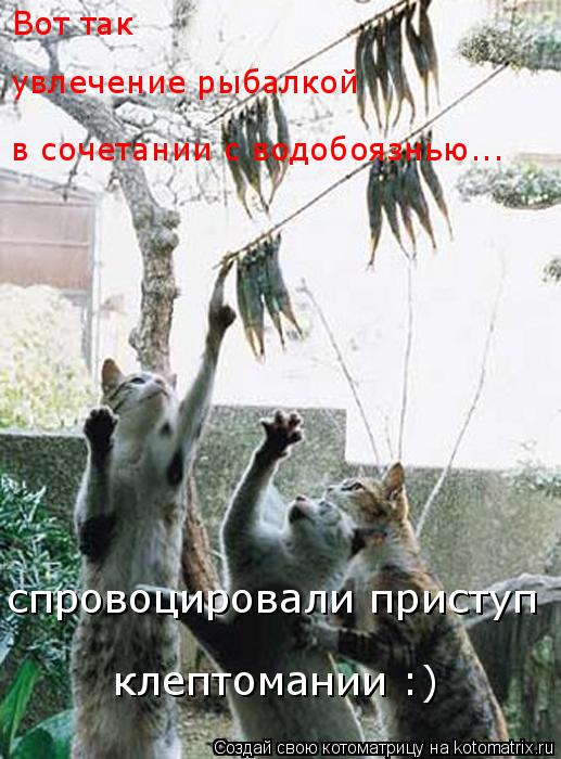 Котоматрица: клептомании :) спровоцировали приступ в сочетании с водобоязнью... Вот так  увлечение рыбалкой