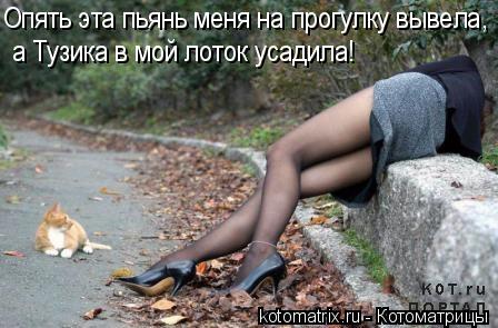 Котоматрица: Опять эта пьянь меня на прогулку вывела,  а Тузика в мой лоток усадила!