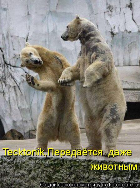 Котоматрица: Tecktonik,Передаётся  даже животным :-)