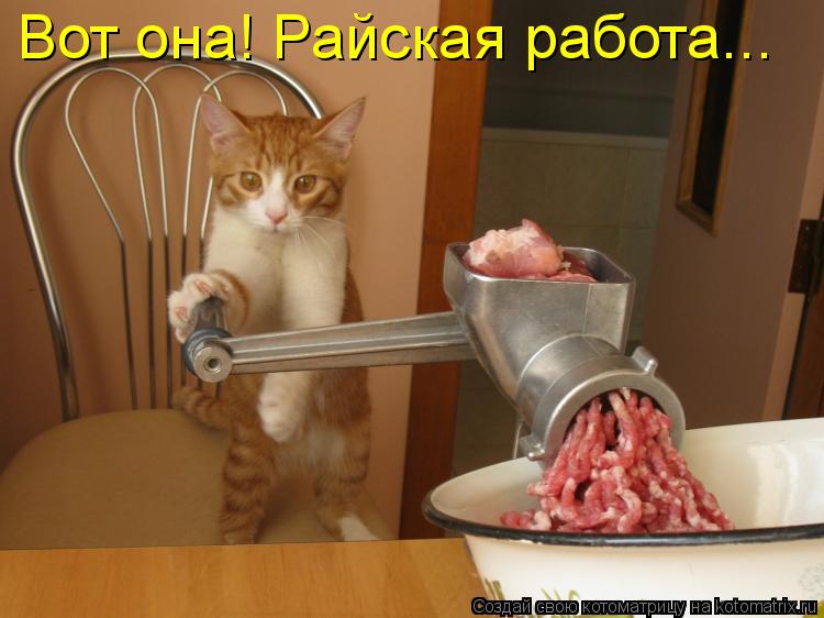 Котоматрица: Вот она! Райская работа...