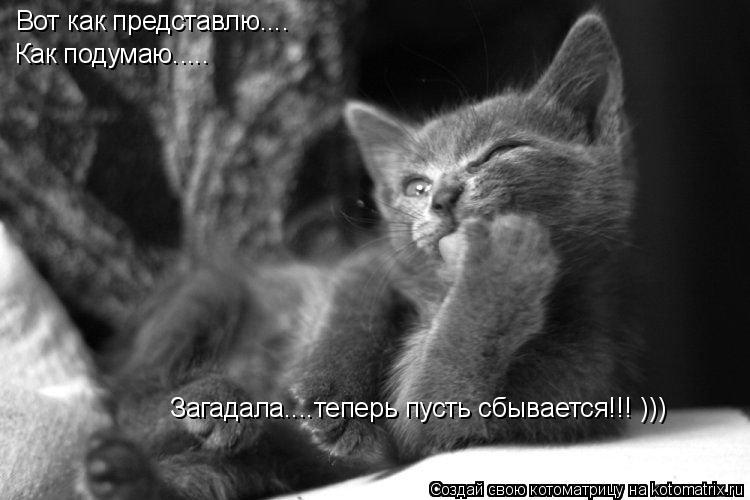 Котоматрица: Вот как представлю.... Как подумаю..... Загадала....теперь пусть сбывается!!! )))