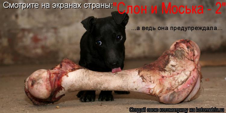 Котоматрица: Смотрите на экранах страны:  "Слон и Моська - 2"  ...а ведь она предупреждала...