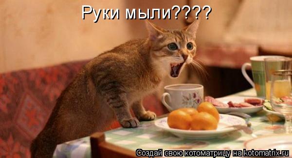 Котоматрица: Руки мыли????