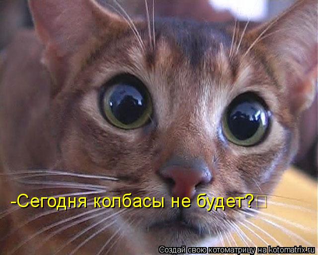 -Сегодня колбасы не будет?... Котоматрица: -Сегодня колбасы не будет?
