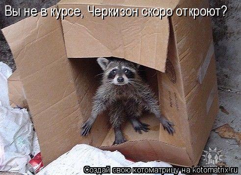 Вы не в курсе, Черкизон скоро откроют?... Котоматрица: Вы не в курсе, Черкизон скоро откроют?