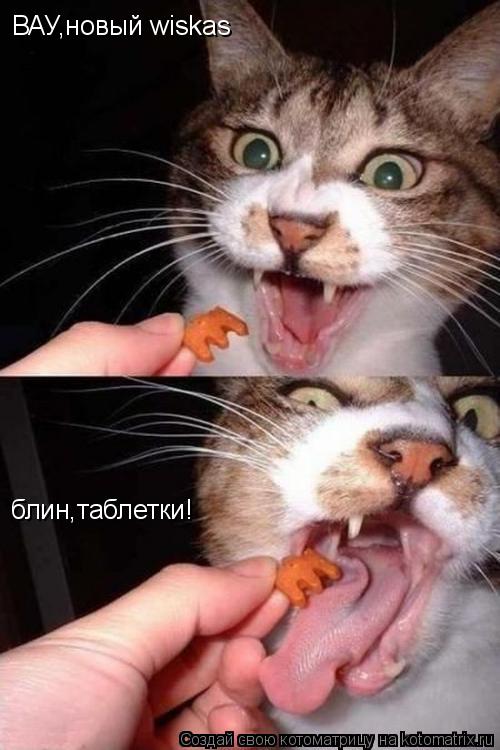 ВАУ,новый wiskas блин,таблетки!... Котоматрица: ВАУ,новый wiskas блин,таблетки!