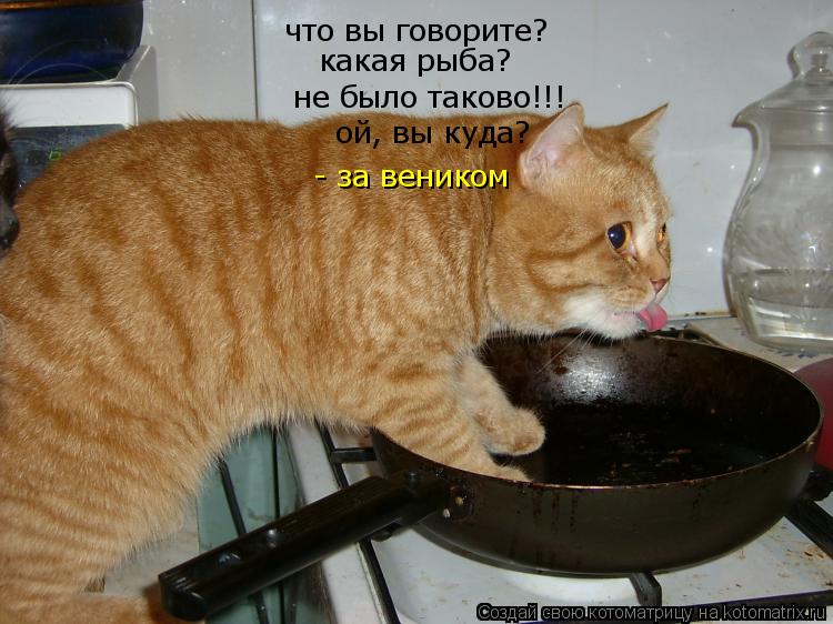 что вы говорите? какая рыба? не было таково!!! ой, вы куда? - за веником... Котоматрица: что вы говорите? какая рыба? не было таково!!! ой, вы куда? - за веником