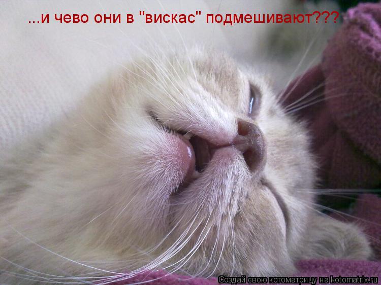 ...и чево они в "вискас" подмешивают???... Котоматрица: ...и чево они в "вискас" подмешивают???