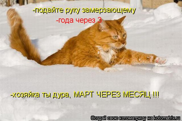 -подайте руку замерзающему -года через 3 -хозяйка ты дура, МАРТ ЧЕРЕЗ МЕСЯЦ !!!... Котоматрица: -подайте руку замерзающему -года через 3 -хозяйка ты дура, МАРТ ЧЕРЕЗ МЕСЯЦ !!!