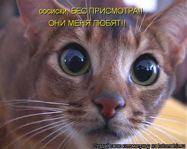 сосиски, БЕС ПРИСМОТРА!! ОНИ МЕНЯ ЛЮБЯТ!!... Котоматрица: сосиски, БЕС ПРИСМОТРА!! ОНИ МЕНЯ ЛЮБЯТ!!