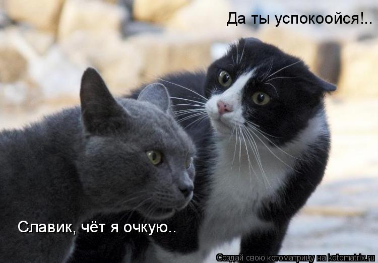 Славик, чёт я очкую.. Да ты успокоойся!..... Котоматрица: Славик, чёт я очкую.. Да ты успокоойся!..