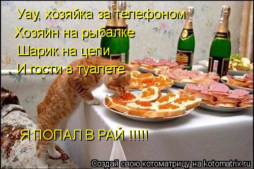 Уау, хозяйка за телефоном Хозяин на рыбалке Шарик на цепи И гости в туалете Я ПОПАЛ В РАЙ !!!!!... Котоматрица: Уау, хозяйка за телефоном Хозяин на рыбалке Шарик на цепи И гости в туалете Я ПОПАЛ В РАЙ !!!!!