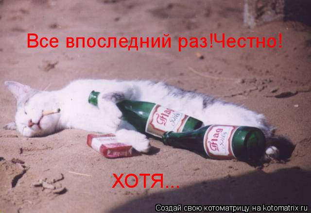 Все впоследний раз!Честно! ХОТЯ...... Котоматрица: Все впоследний раз!Честно! ХОТЯ...