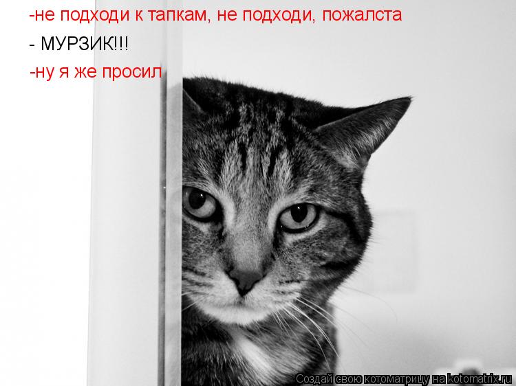 -не подходи к тапкам, не подходи, пожалста - МУРЗИК!!! -ну я же просил... Котоматрица: -не подходи к тапкам, не подходи, пожалста - МУРЗИК!!! -ну я же просил