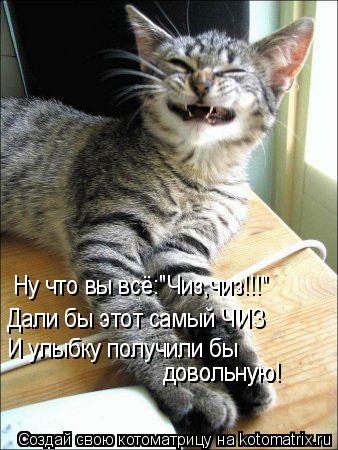 Ну что вы всё:"Чиз,чиз!!!" Дали бы этот самый ЧИЗ И улыбку получили бы довольную! довольную!... Котоматрица: Ну что вы всё:"Чиз,чиз!!!" Дали бы этот самый ЧИЗ И улыбку получили бы довольную! довольную!