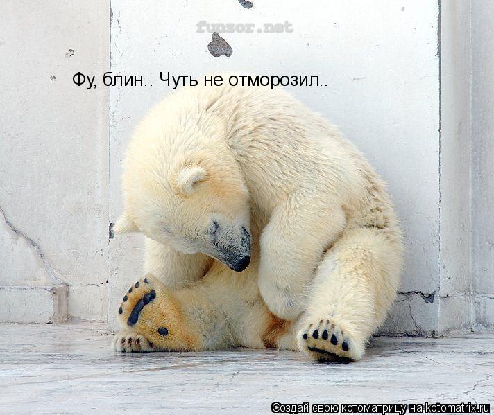 Фу, блин.. Чуть не отморозил..... Котоматрица: Фу, блин.. Чуть не отморозил..