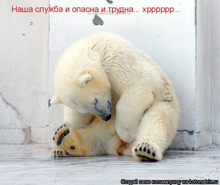 Наша служба и опасна и трудна... хрррррр...... Котоматрица: Наша служба и опасна и трудна... хрррррр...