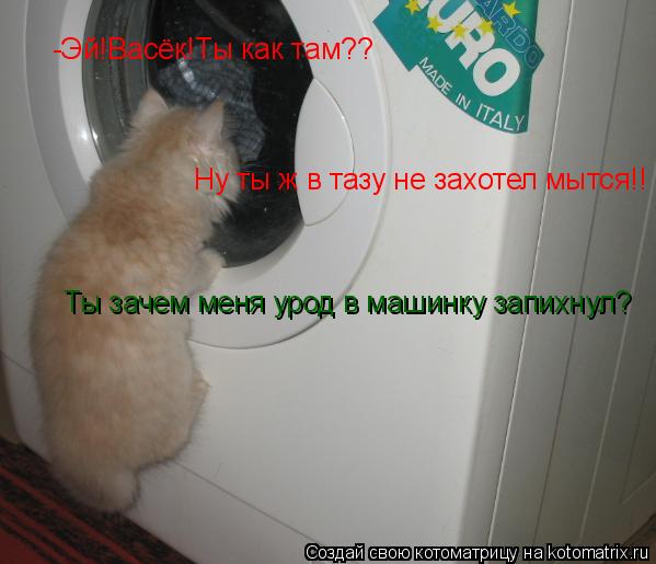 -Эй!Васёк!Ты как там?? Ты зачем меня урод в машинку запихнул? Ну ты ж в тазу не захотел мытся!!... Котоматрица: -Эй!Васёк!Ты как там?? Ты зачем меня урод в машинку запихнул? Ну ты ж в тазу не захотел мытся!!