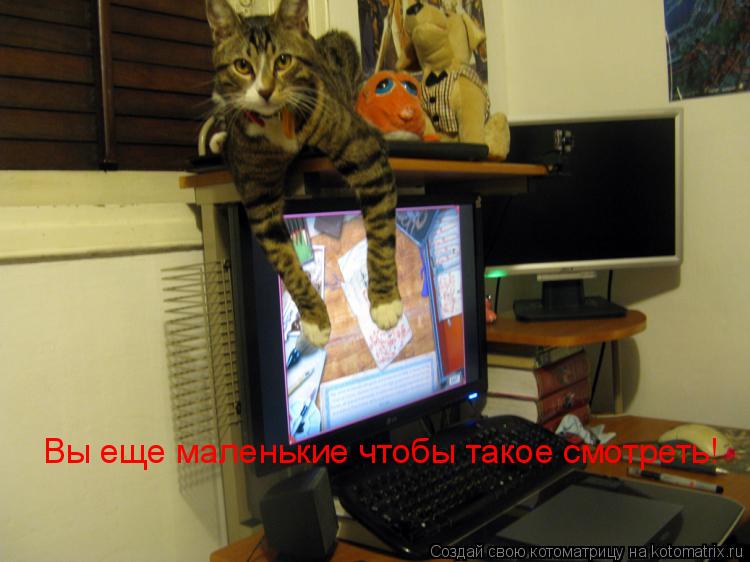 Вы еще маленькие чтобы такое смотреть!... Котоматрица: Вы еще маленькие чтобы такое смотреть!