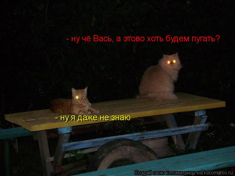 - ну я даже не знаю - ну чё Вась, а этово хоть будем пугать?... Котоматрица: - ну я даже не знаю - ну чё Вась, а этово хоть будем пугать?