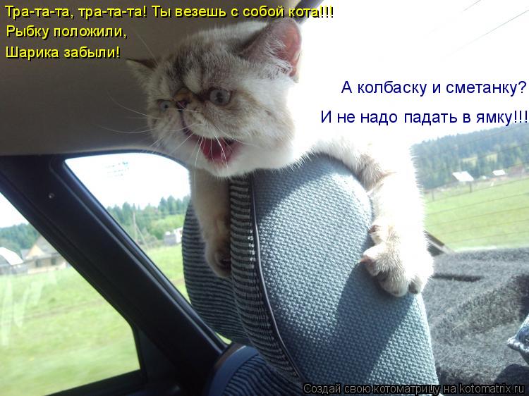 Тра-та-та, тра-та-та! Ты везешь с собой кота!!! Рыбку положили, Шарика забыли! А колбаску и сметанку... Котоматрица: Тра-та-та, тра-та-та! Ты везешь с собой кота!!! Рыбку положили, Шарика забыли! А колбаску и сметанку? И не надо падать в ямку!!!