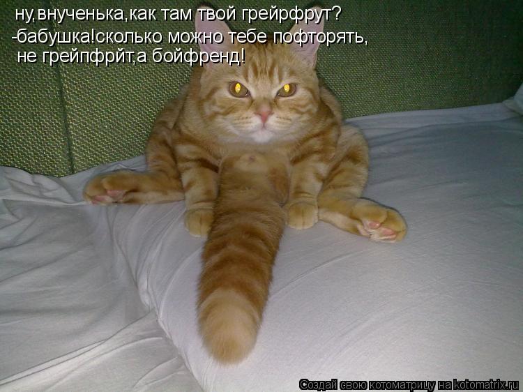 ну,внученька,как там твой грейрфрут? -бабушка!сколько можно тебе пофторять, не грейпфрйт,а бойфренд!... Котоматрица: ну,внученька,как там твой грейрфрут? -бабушка!сколько можно тебе пофторять, не грейпфрйт,а бойфренд!