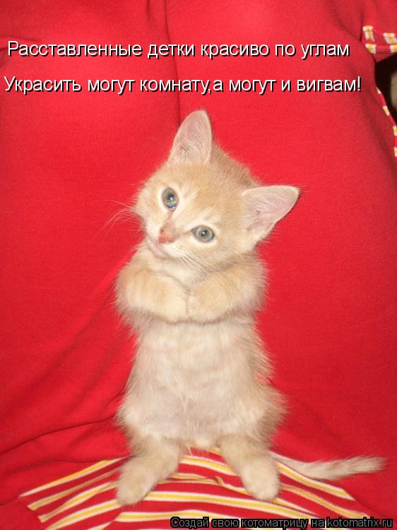 Расставленные детки красиво по углам Украсить могут комнату,а могут и вигвам!... Котоматрица: Расставленные детки красиво по углам Украсить могут комнату,а могут и вигвам!