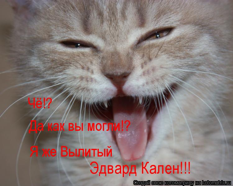 Чё!? Да как вы могли!? Я же Вылитый Эдвард Кален!!!... Котоматрица: Чё!? Да как вы могли!? Я же Вылитый Эдвард Кален!!!
