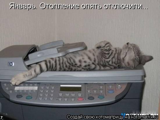 Январь. Отопление опять отключили...... Котоматрица: Январь. Отопление опять отключили...