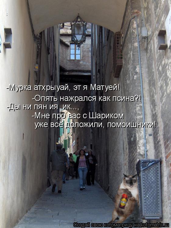 -Мурка атхрыуай, эт я Матуей! -Опять нажрался как псина?! -Ды ни пян ия ик..., -Мне про вас с Шарик... Котоматрица: -Мурка атхрыуай, эт я Матуей! -Опять нажрался как псина?! -Ды ни пян ия ик..., -Мне про вас с Шариком уже всё доложили, помоишники!