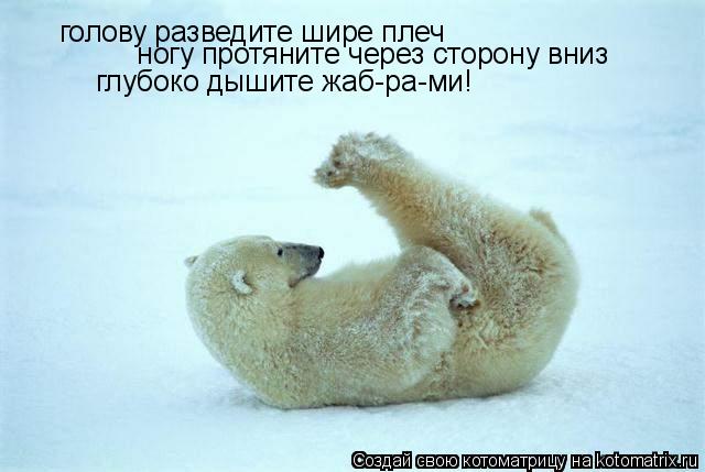 голову разведите шире плеч ногу протяните через сторону вниз глубоко дышите жаб-ра-ми!... Котоматрица: голову разведите шире плеч ногу протяните через сторону вниз глубоко дышите жаб-ра-ми!
