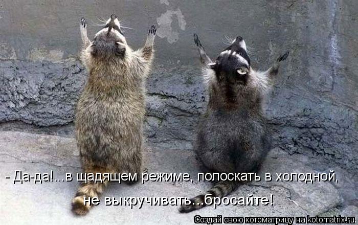 - Да-да!...в щадящем режиме, полоскать в холодной, не выкручивать...бросайте!... Котоматрица: - Да-да!...в щадящем режиме, полоскать в холодной, не выкручивать...бросайте!