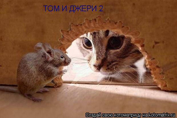 ТОМ И ДЖЕРИ 2... Котоматрица: ТОМ И ДЖЕРИ 2
