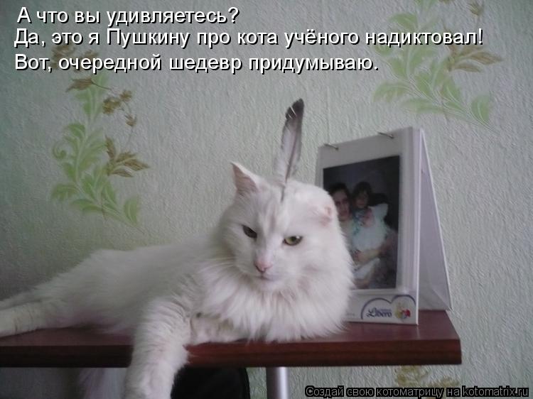 А что вы удивляетесь? Да, это я Пушкину про кота учёного надиктовал! Вот, очередной шедевр придумываю... Котоматрица: А что вы удивляетесь? Да, это я Пушкину про кота учёного надиктовал! Вот, очередной шедевр придумываю.