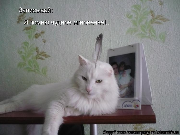 Записывай: Я помню чудное мгновенье!..... Котоматрица: Записывай: Я помню чудное мгновенье!..