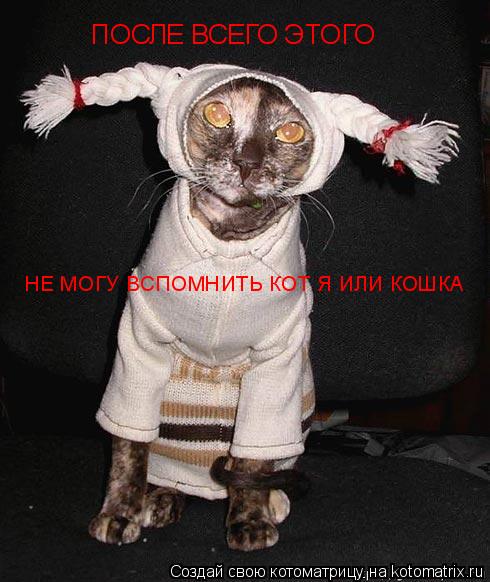 ПОСЛЕ ВСЕГО ЭТОГО НЕ МОГУ ВCПОМНИТЬ КОТ Я ИЛИ КОШКА... Котоматрица: ПОСЛЕ ВСЕГО ЭТОГО НЕ МОГУ ВCПОМНИТЬ КОТ Я ИЛИ КОШКА