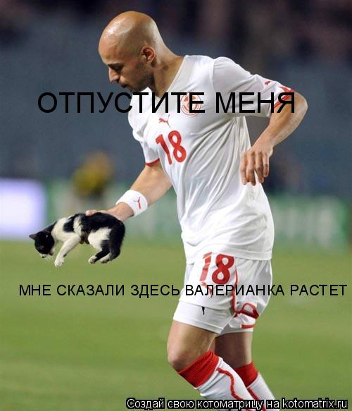 ОТПУСТИТЕ МЕНЯ МНЕ СКАЗАЛИ ЗДЕСЬ ВАЛЕРИАНКА РАСТЕТ... Котоматрица: ОТПУСТИТЕ МЕНЯ МНЕ СКАЗАЛИ ЗДЕСЬ ВАЛЕРИАНКА РАСТЕТ