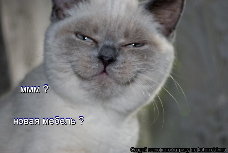 ммм ? новая мебель ? новая мебель ? ммм ?... Котоматрица: ммм ? новая мебель ? новая мебель ? ммм ?