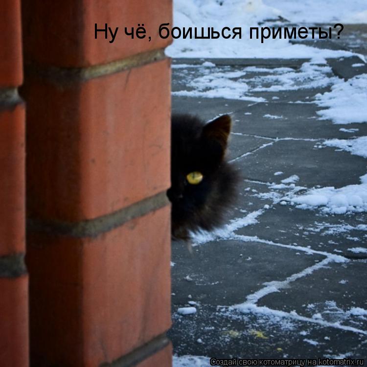 Ну чё, боишься приметы?... Котоматрица: Ну чё, боишься приметы?