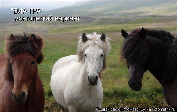"ВИА ГРА" монгольский вариант... Котоматрица: "ВИА ГРА" монгольский вариант