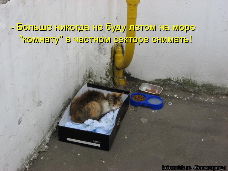- Больше никогда не буду летом на море "комнату" в частном секторе снимать!... Котоматрица: - Больше никогда не буду летом на море "комнату" в частном секторе снимать!