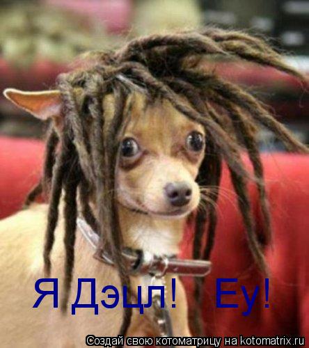 Я Дэцл! Еу!... Котоматрица: Я Дэцл! Еу!