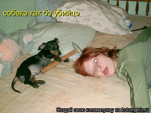 собакэ как бэ убийцэ... Котоматрица: собакэ как бэ убийцэ