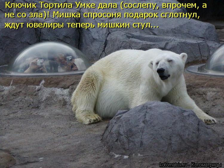 Ключик Тортила Умке дала (сослепу, впрочем, а не со зла)! Мишка спросоня подарок сглотнул, ждут ювел... Котоматрица: Ключик Тортила Умке дала (сослепу, впрочем, а не со зла)! Мишка спросоня подарок сглотнул, ждут ювелиры теперь мишкин стул...
