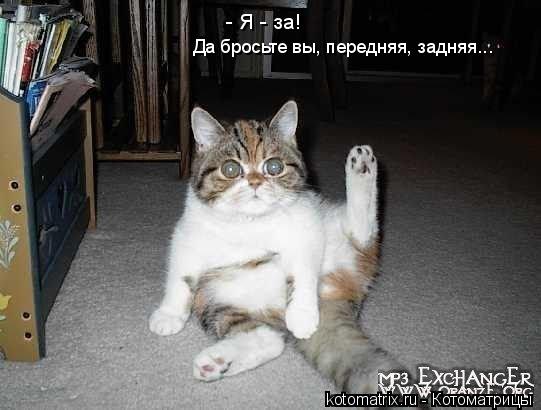 - Я - за! Да бросьте вы, передняя, задняя...... Котоматрица: - Я - за! Да бросьте вы, передняя, задняя...